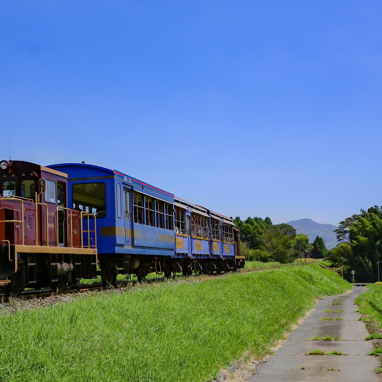 💧 요시다 성 헌상급장 (요시다조 고켄조 쿠미바) 이미지 4
